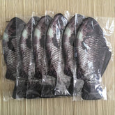 Иқтидори эҷодӣ барои донишҷӯи Crucian Carp қуттии қалам